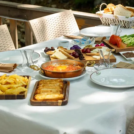 Hotel Antique Manastir Boutique Edremit (Balikesir)